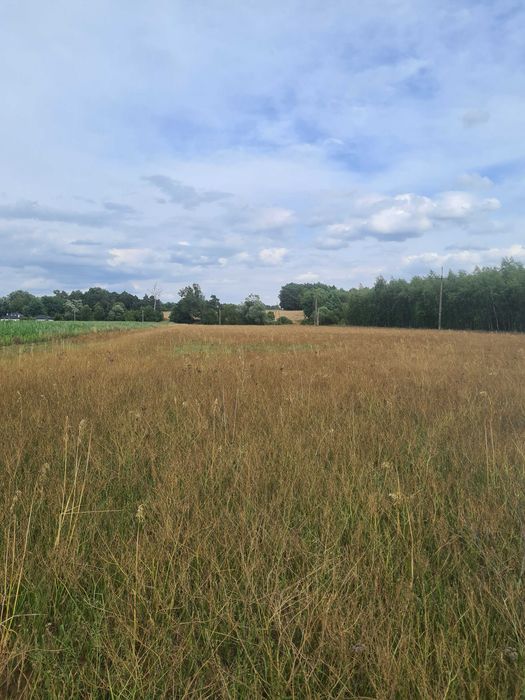 Działka budowlana Rachcin. Zdjęcie 4