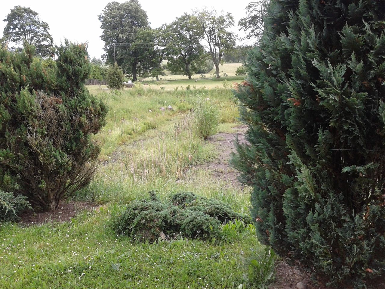 Działka budowlana Skrzydłowo. Zdjęcie 8