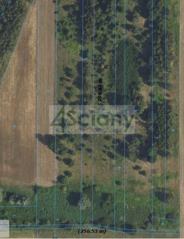 Działka budowlana Dębina. Zdjęcie 10