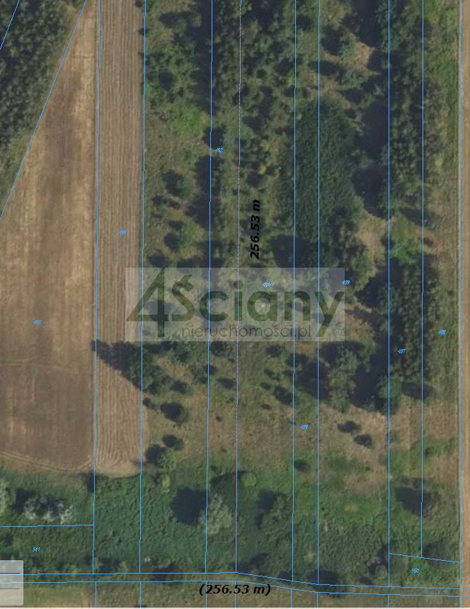 Działka budowlana Dębina. Zdjęcie 10