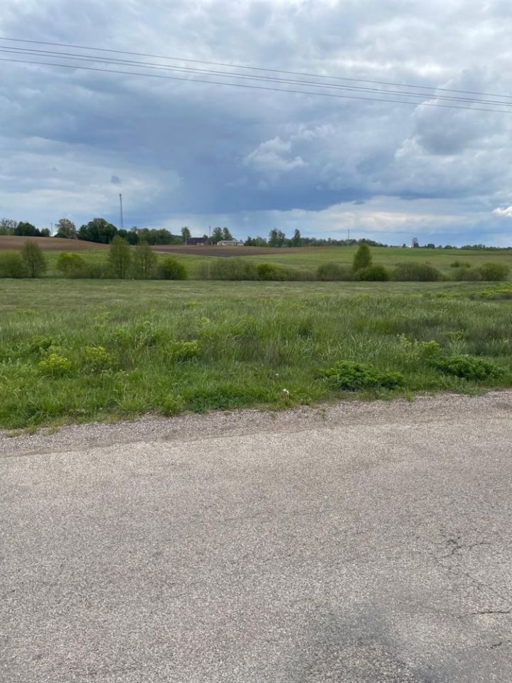 Działka rolno-budowlana Bargłów Dworny. Zdjęcie 2