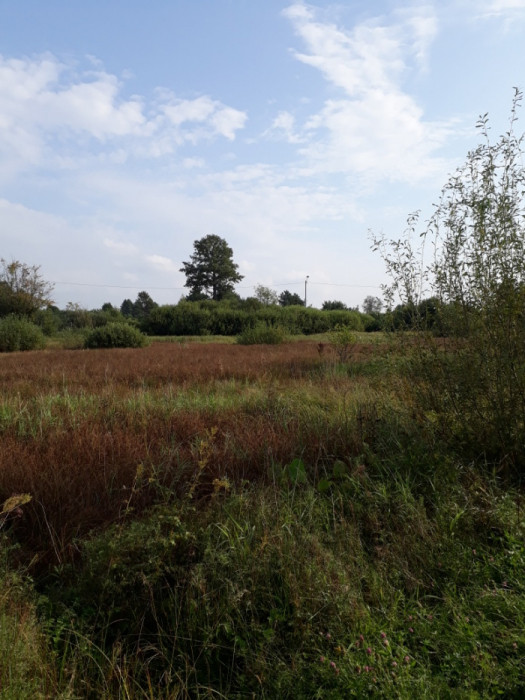 Działka inwestycyjna Tumanek. Zdjęcie 4