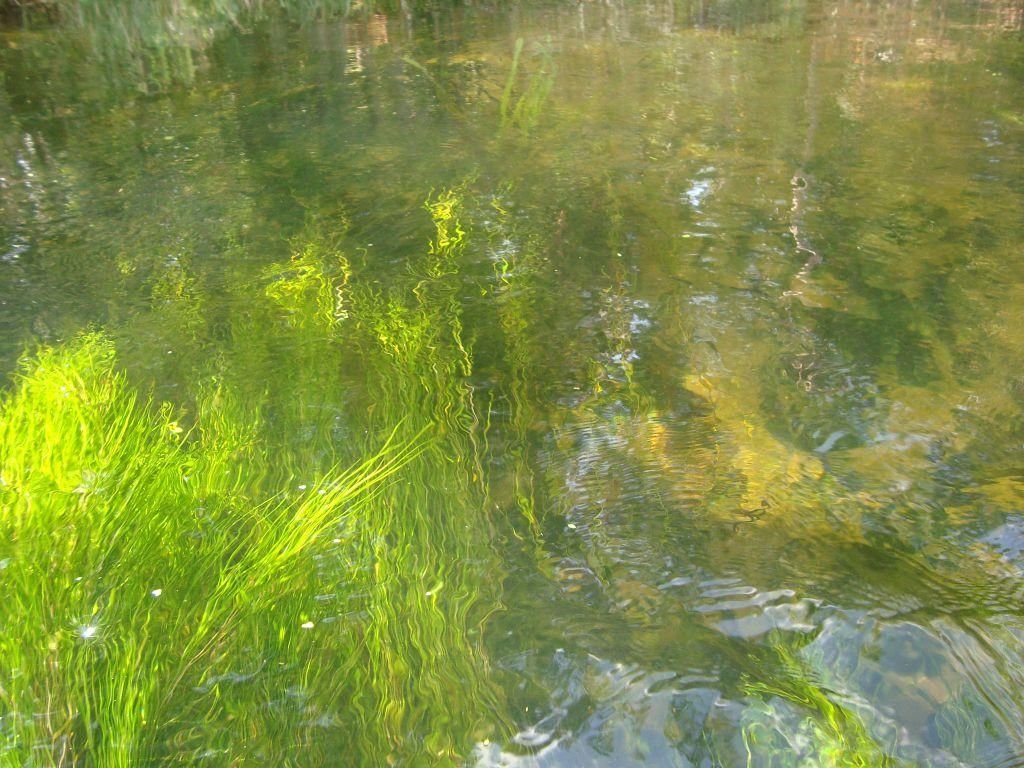 Działka rolna Dębki. Zdjęcie 13