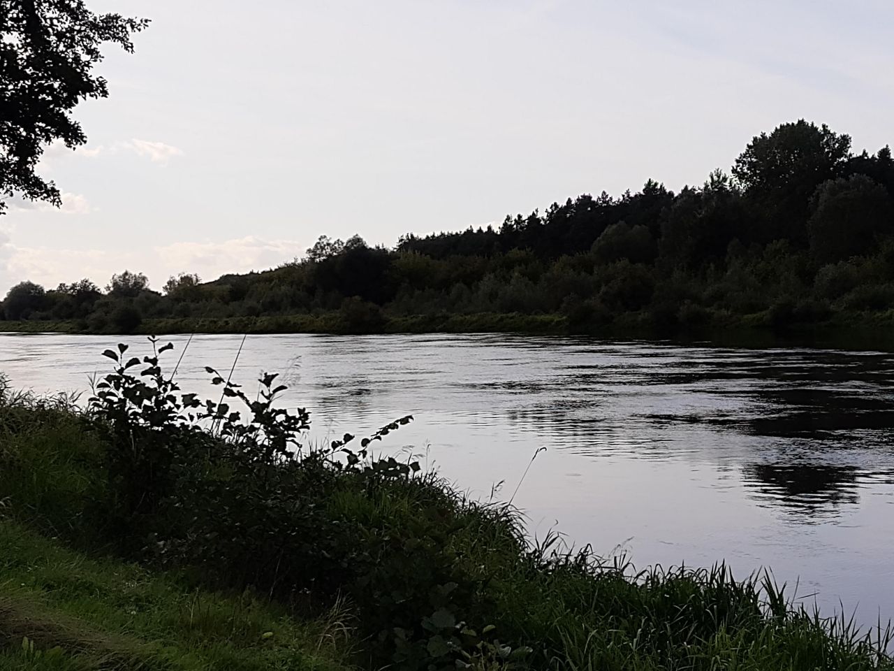 Działka rekreacyjna Zambski Kościelne. Zdjęcie 2