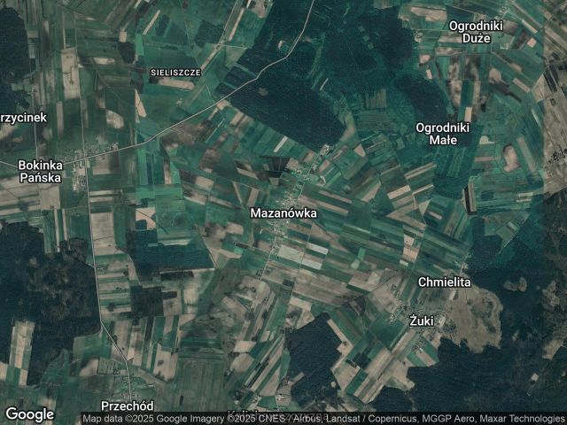 Działka leśna Mazanówka. Zdjęcie 1