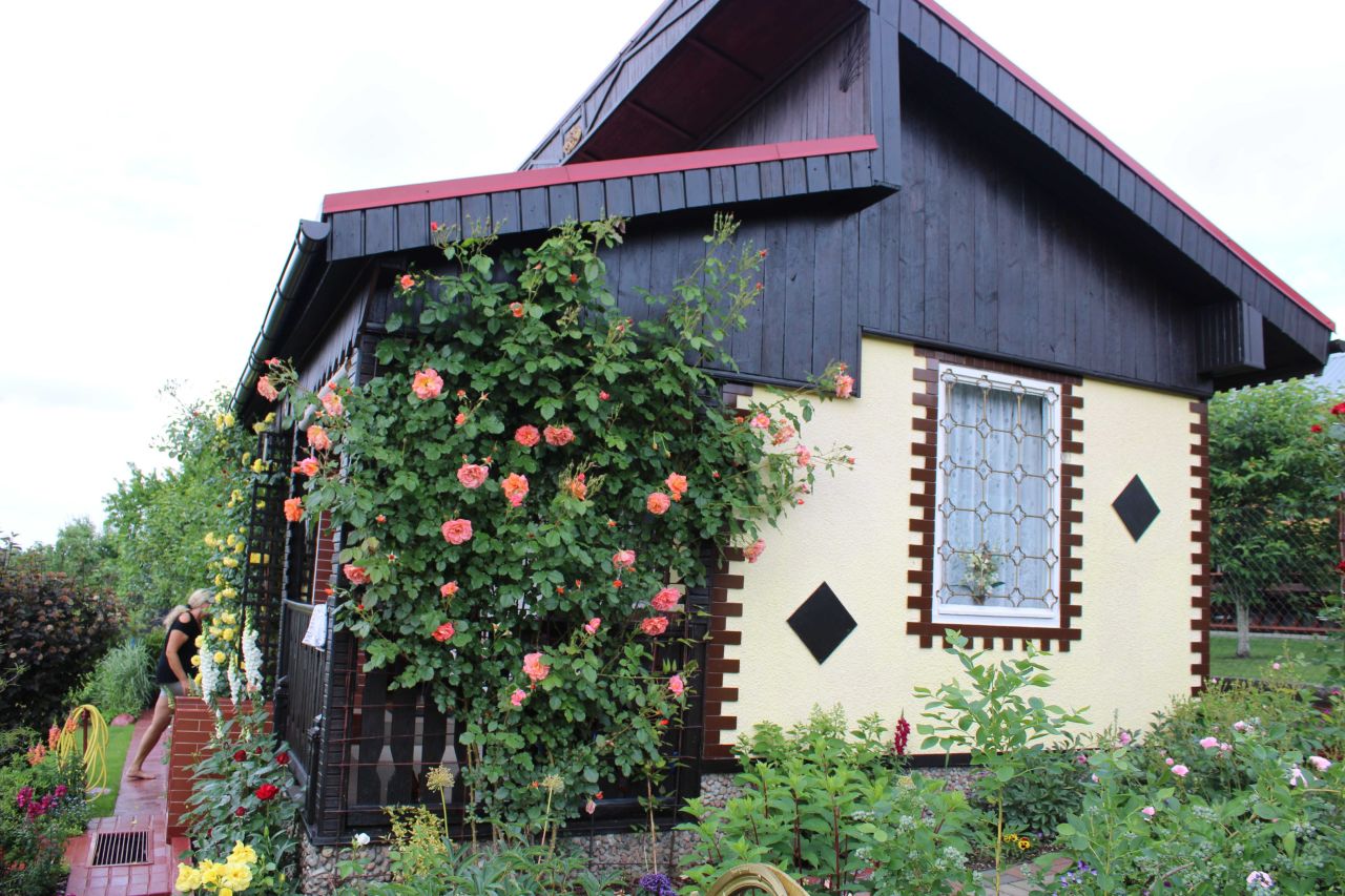 Działka rod Iława. Zdjęcie 3