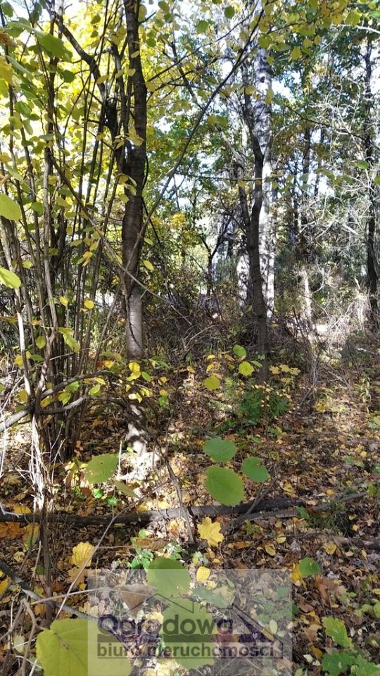 Działka budowlana Magdalenka. Zdjęcie 3