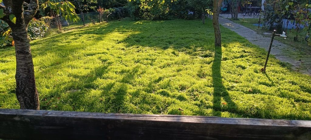 Działka rod Żagań, ul. Starowiejska. Zdjęcie 4