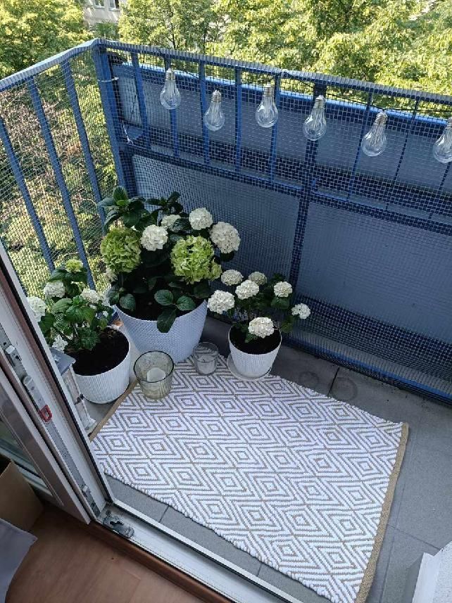 Mieszkanie 2-pokojowe Warszawa Śródmieście, ul. Pańska. Zdjęcie 5