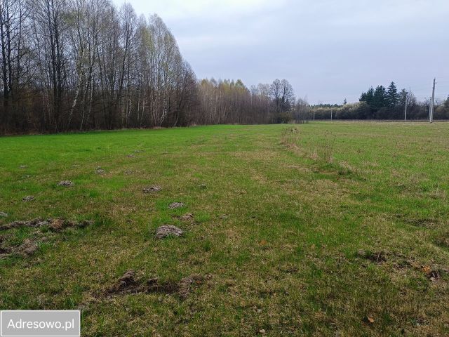 Działka budowlana Cegłów, ul. Wojciecha Oczko. Zdjęcie 5