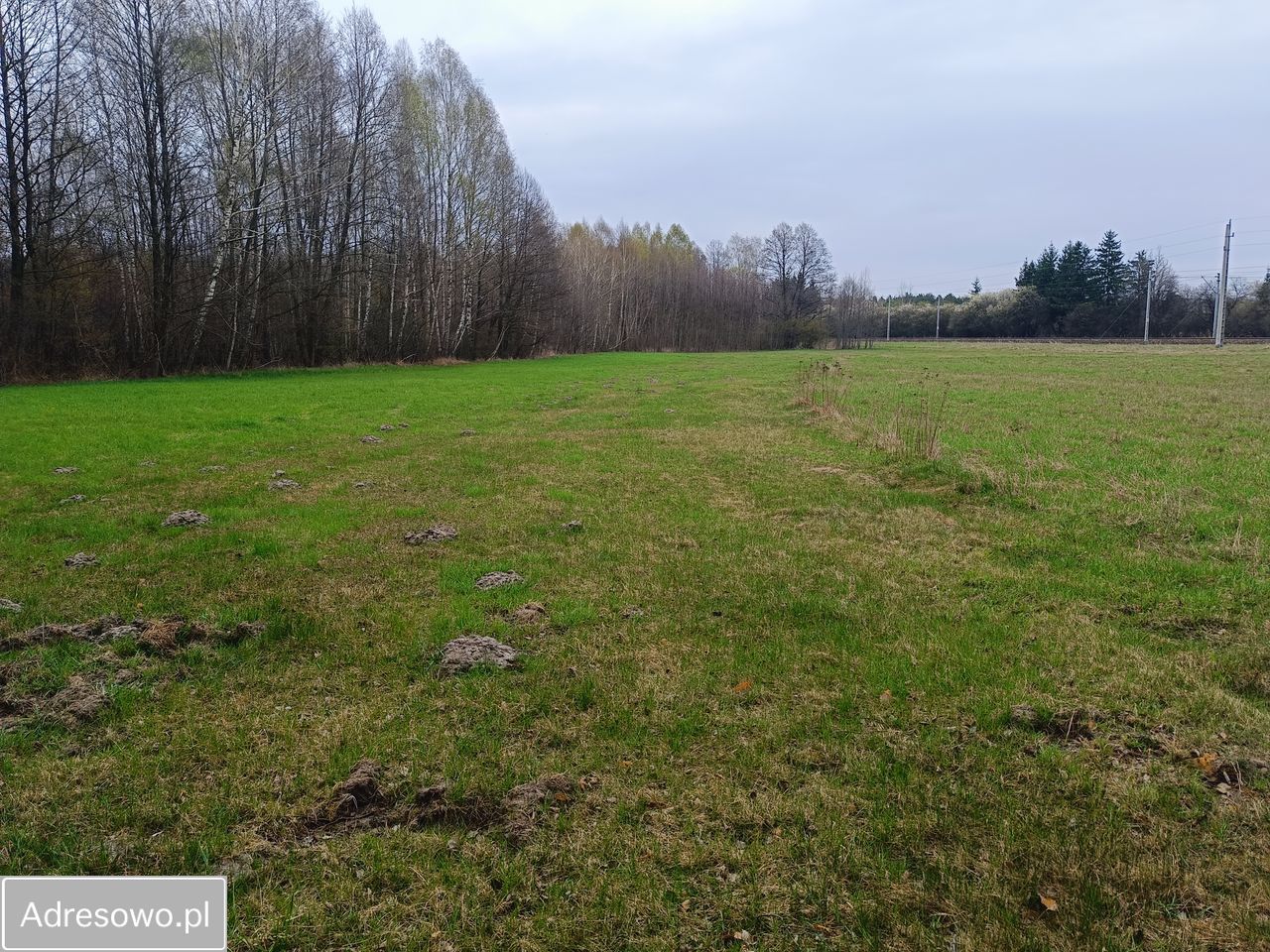 Działka budowlana Cegłów, ul. Wojciecha Oczko. Zdjęcie 5