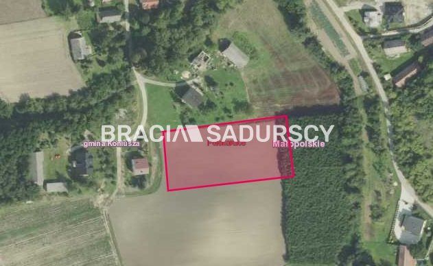 Działka rolna Polekarcice. Zdjęcie 5