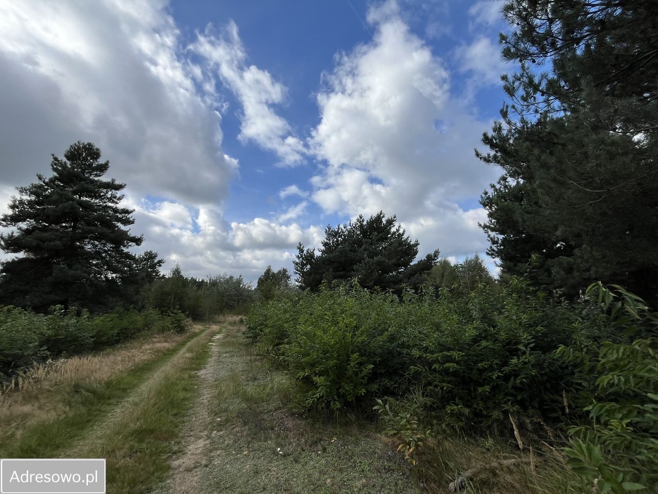 Działka budowlana Psary Wielkie. Zdjęcie 8