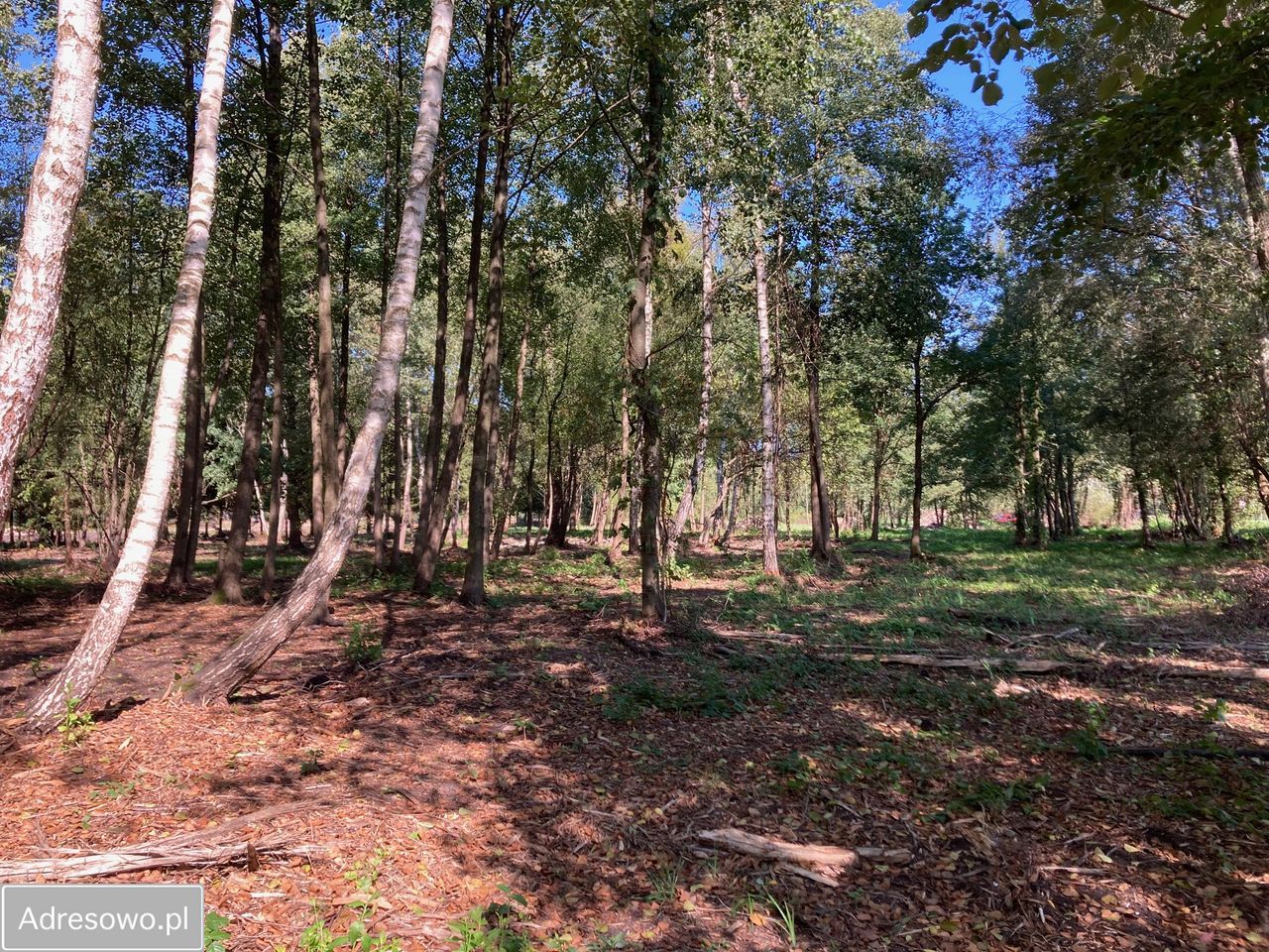 Działka budowlana Mościska, ul. Skowronkowa. Zdjęcie 2