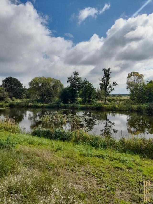 Lokal Błota. Zdjęcie 14