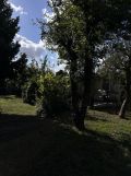 Działka rod Śrem. Zdjęcie 3