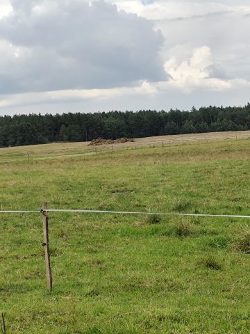 Działka siedliskowa Kęsza. Zdjęcie 7