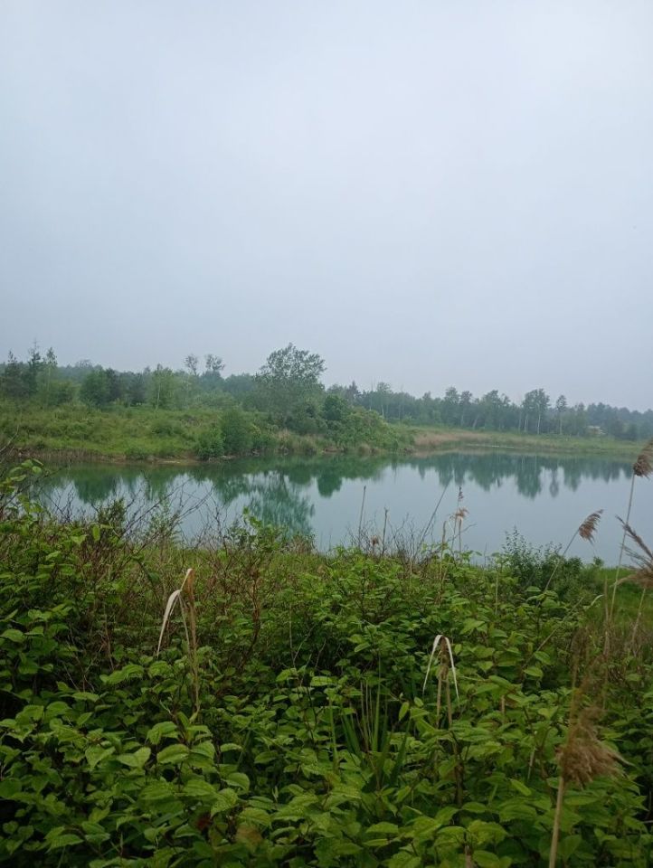 Działka budowlana Radziejowice. Zdjęcie 3