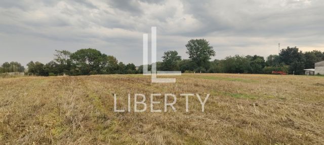 Działka rolna Barnisław. Zdjęcie 3