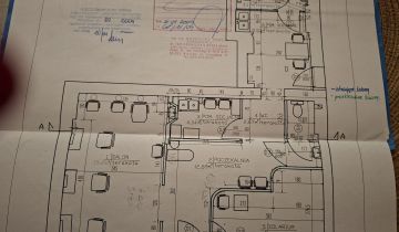 Lokal Wrocław Śródmieście, ul. Oleśnicka