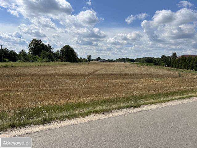 Działka budowlana Wola Bachorska. Zdjęcie 1