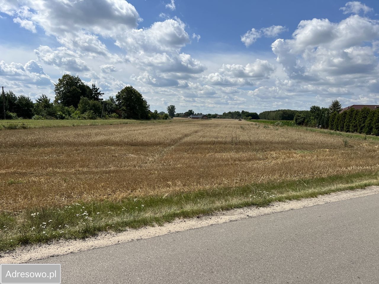Działka budowlana Wola Bachorska. Zdjęcie 1