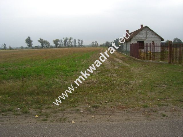 Działka Mistrzewice. Zdjęcie 1