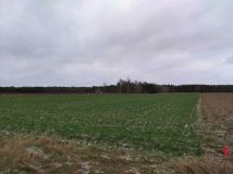 Działka budowlana Gołąbek, ul. Leśna. Zdjęcie 3