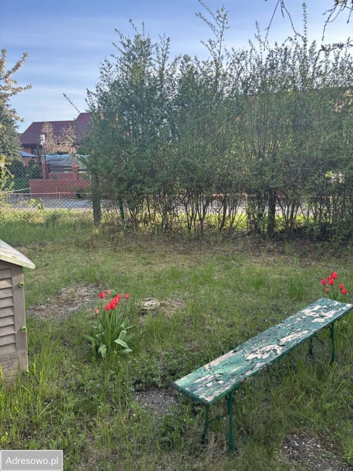 Działka rod Pyrzyce, ul. Niepodległości. Zdjęcie 8