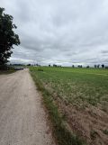 Działka rolno-budowlana Jerzyce. Zdjęcie 3
