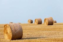 Działka rolna Mień. Zdjęcie 1