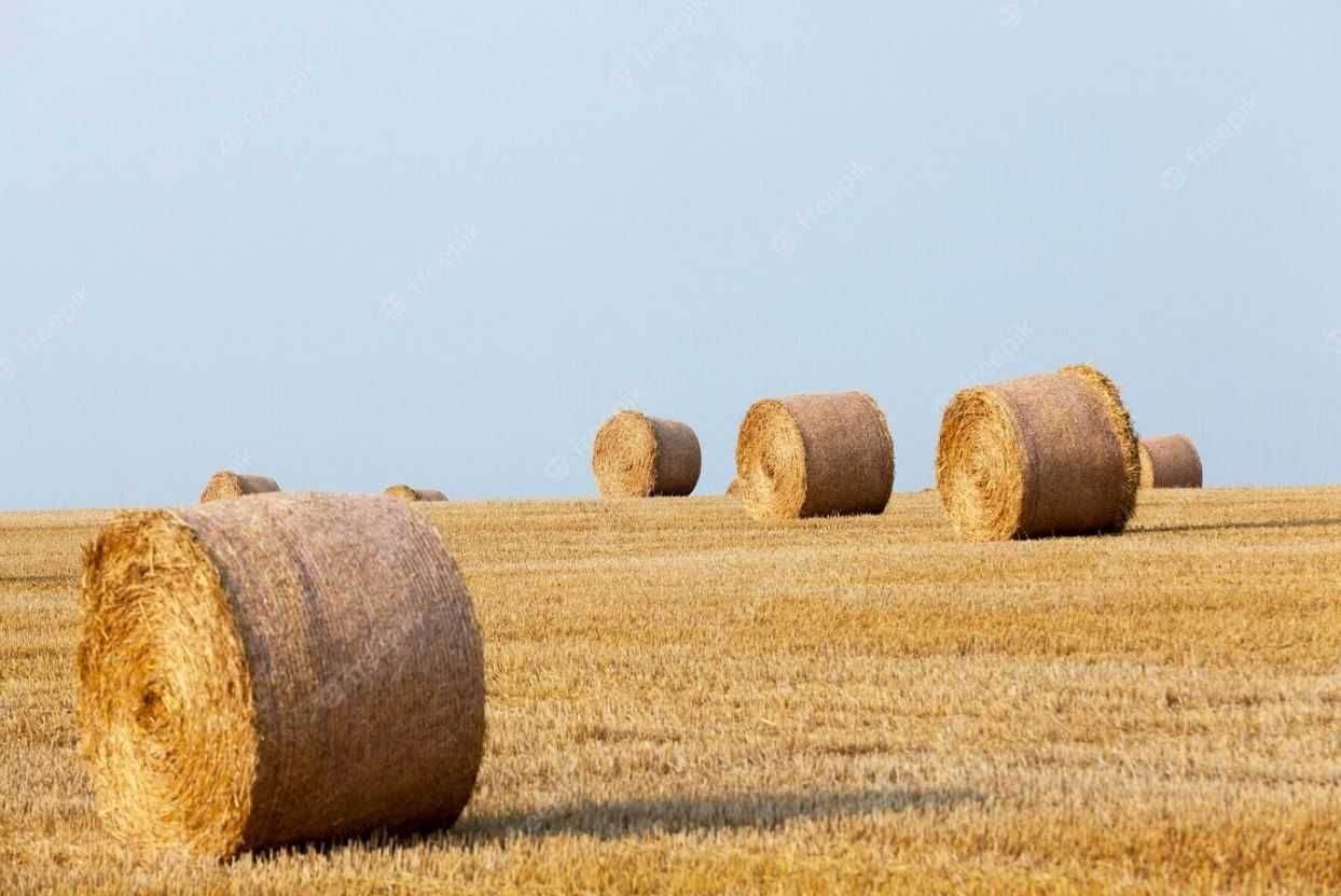 Działka rolna Mień. Zdjęcie 2