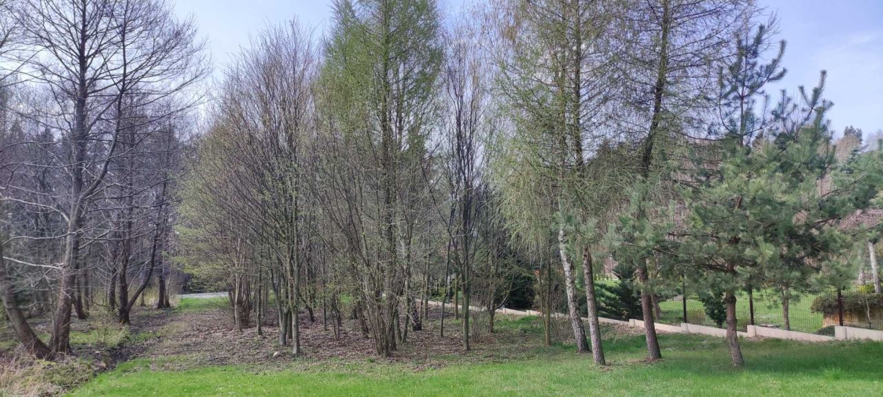 Działka rolna Stąporków. Zdjęcie 6