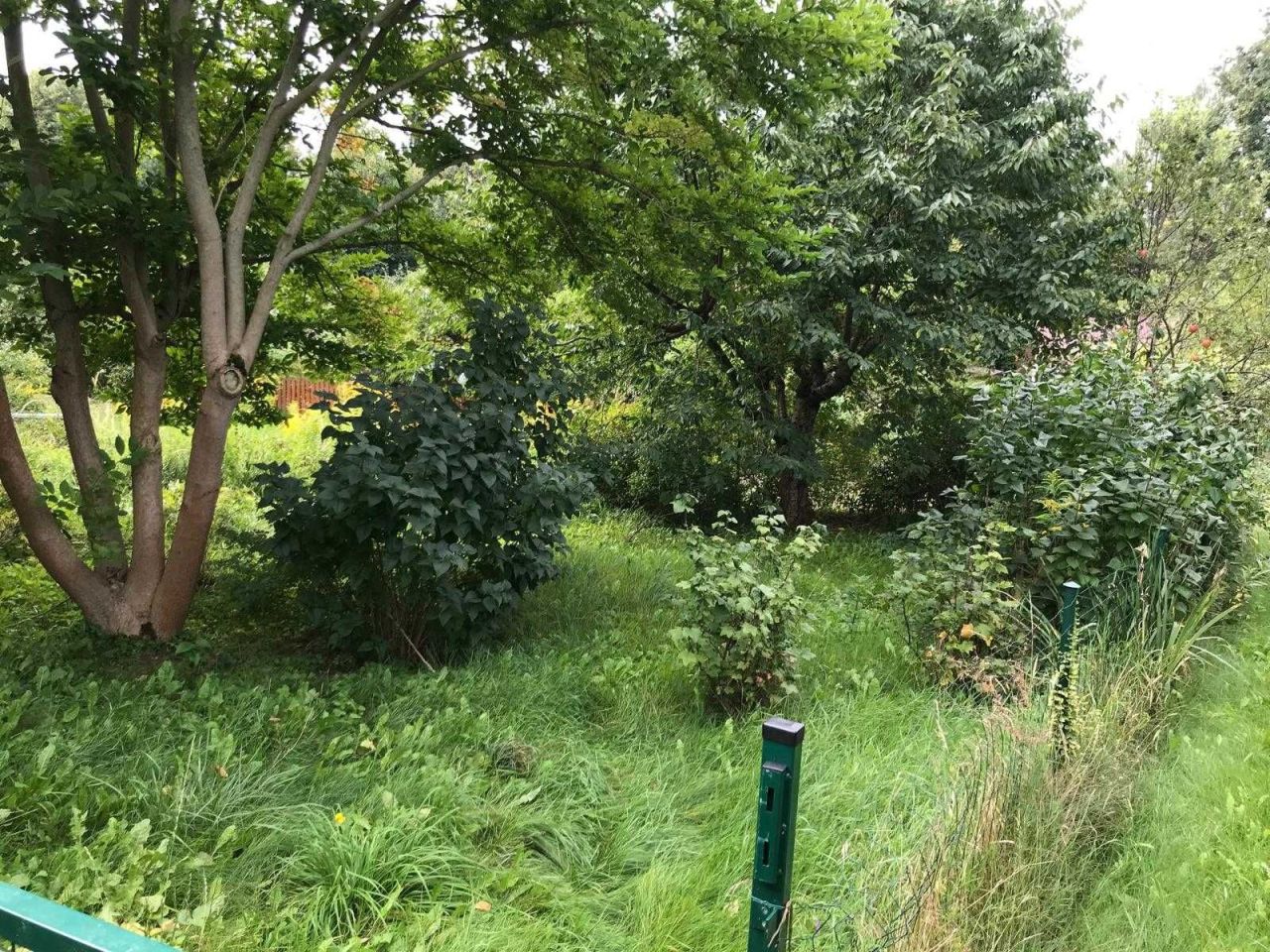 Działka rod Lublin Węglin. Zdjęcie 7