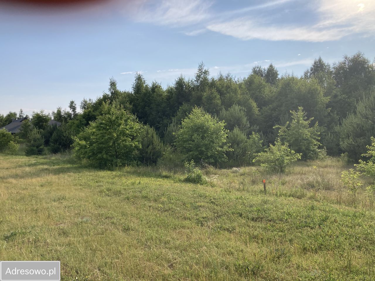 Działka budowlana Dziektarzew. Zdjęcie 9