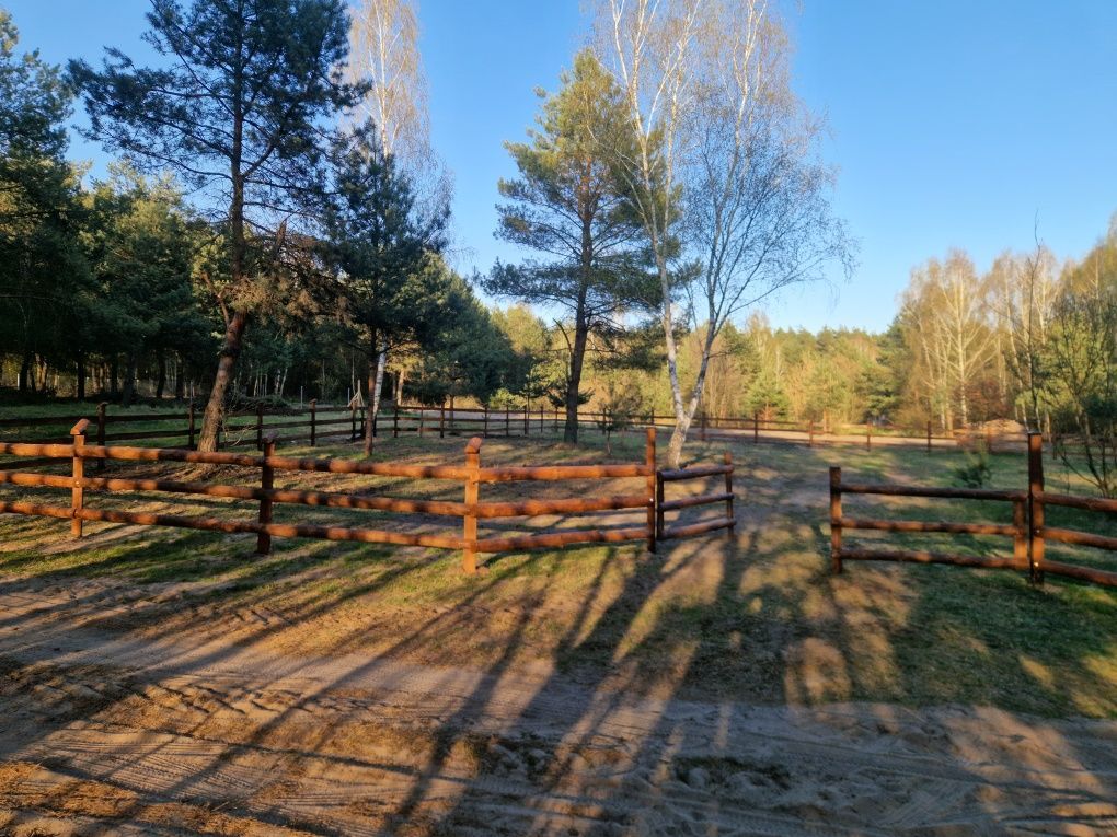 Działka rekreacyjna Chorzeszów. Zdjęcie 4