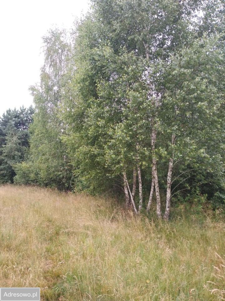 Działka rekreacyjna Nowa Jedlanka. Zdjęcie 7