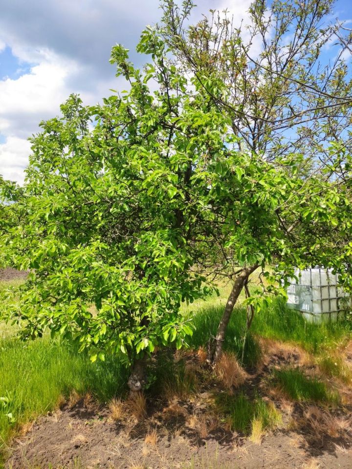 Działka rod Wrocław Fabryczna, ul. Szczecińska. Zdjęcie 3