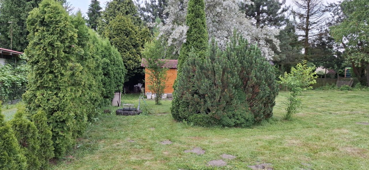 Działka rod Tenczynek, ul. Na Skałki. Zdjęcie 4