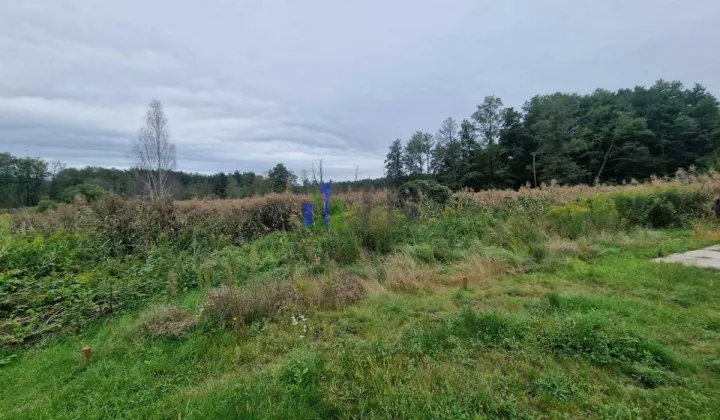 Działka budowlana Nowy Dwór