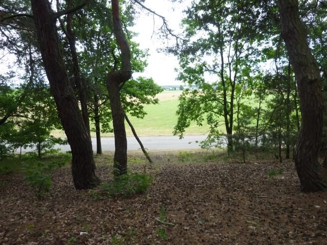 Działka budowlana Skrzeszew, ul. Partyzantów. Zdjęcie 2