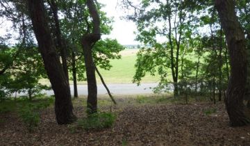 Działka budowlana Skrzeszew, ul. Partyzantów