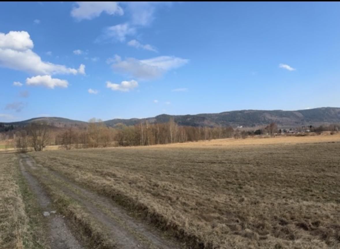 Działka inwestycyjna Ściegny, ul. Widokowa. Zdjęcie 3