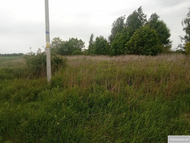 Działka siedliskowa Bachorzewo. Zdjęcie 1