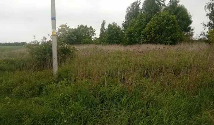 Działka siedliskowa Bachorzewo