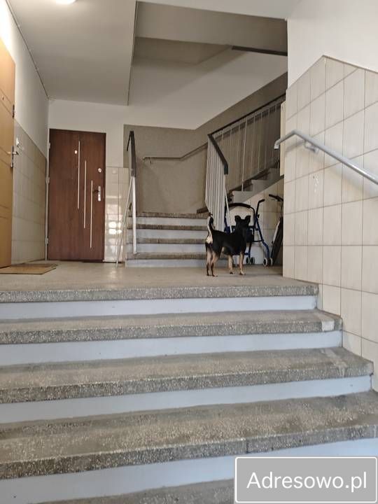 Mieszkanie 2-pokojowe Elbląg, ul. Henryka Barona. Zdjęcie 8