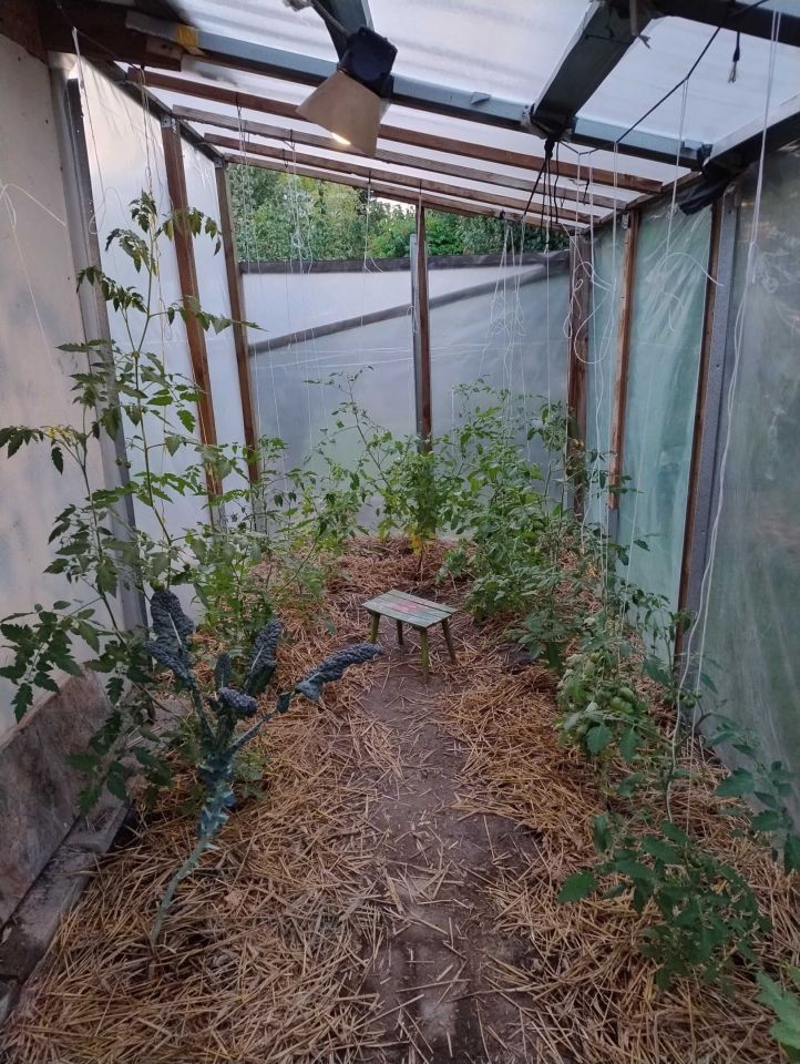 Działka rod Warszawa Ochota. Zdjęcie 6