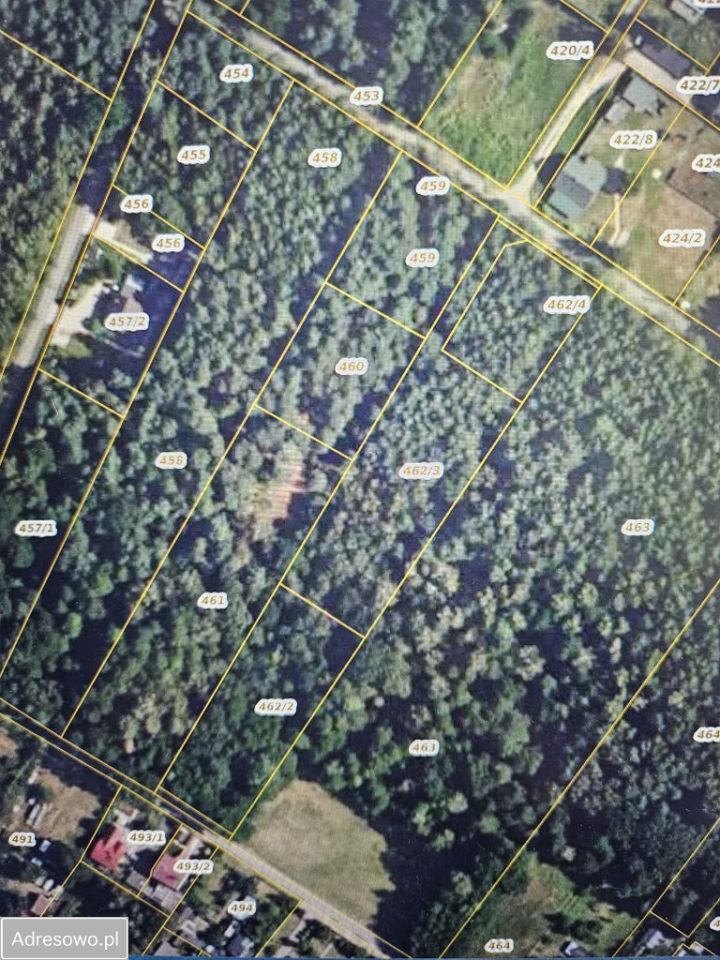 Działka budowlana Grabina Radziwiłłowska, ul. Jagodowa. Zdjęcie 5