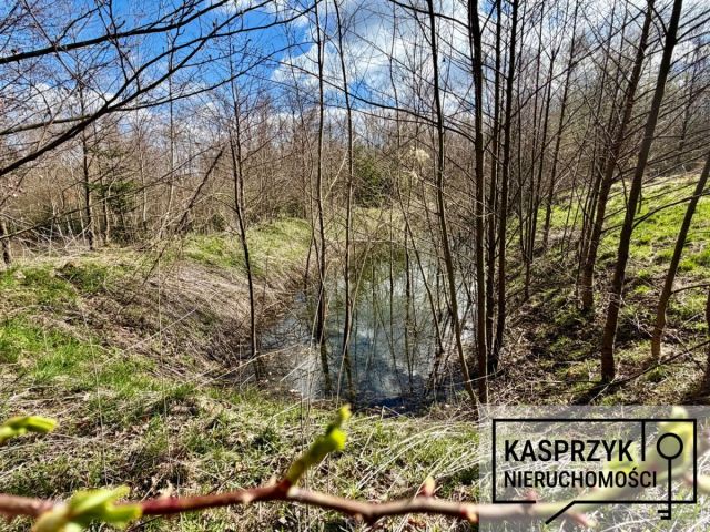 Działka budowlana Ujazd. Zdjęcie 8