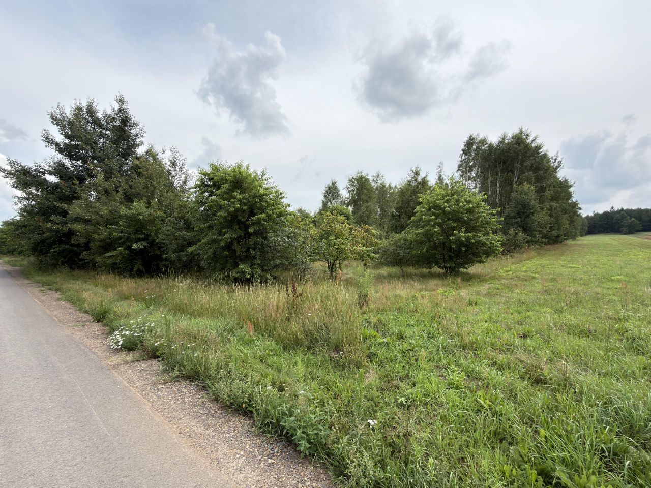 Działka budowlana Węgrzynów, pogodna. Zdjęcie 6